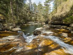Forêt d'Aïtone près d'Évisa, au départ de la descente des gorges de la Spelunca